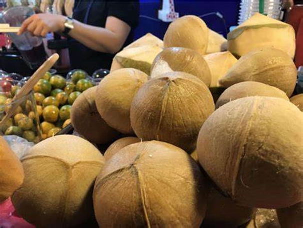 椰子進口報關需要什么資質以及進口流程是怎樣的 椰子進口報關需要什么資質以及進口流程是怎樣的