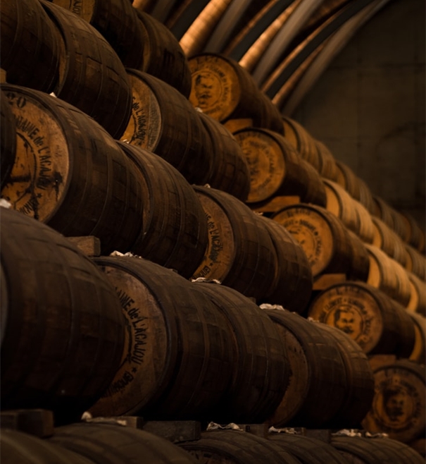 廈門智利葡萄酒進口代理清關公司 廈門智利葡萄酒進口代理清關公司