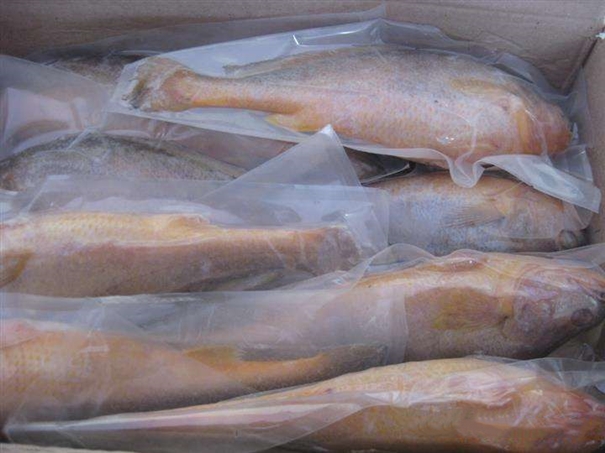 進口韓國海鮮報關(guān)這些你是要知道的 進口韓國海鮮報關(guān)這些你是要知道的