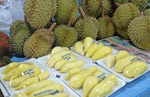 進口泰國新鮮榴蓮報關流程手續 進口泰國新鮮榴蓮報關流程手續