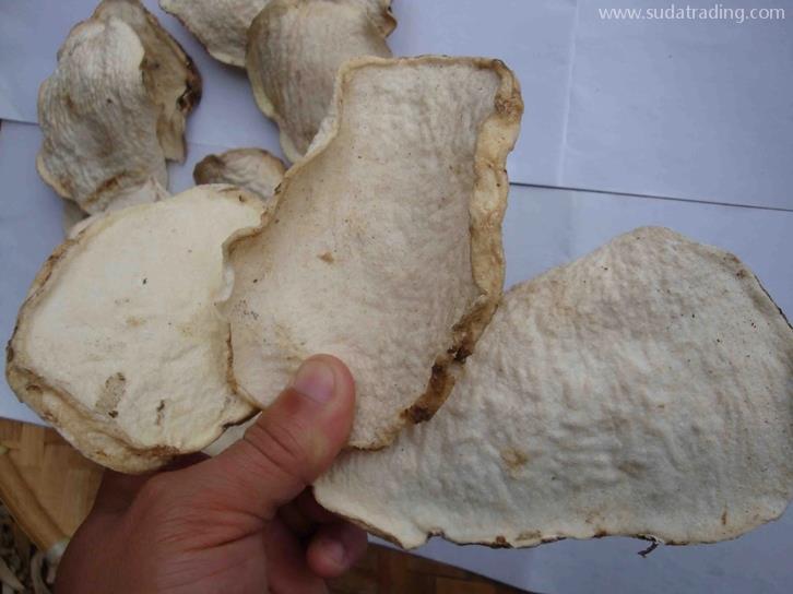 進(jìn)口魔芋干片報(bào)關(guān)報(bào)檢要求-超齊全 進(jìn)口魔芋干片報(bào)關(guān)報(bào)檢要求-超齊全