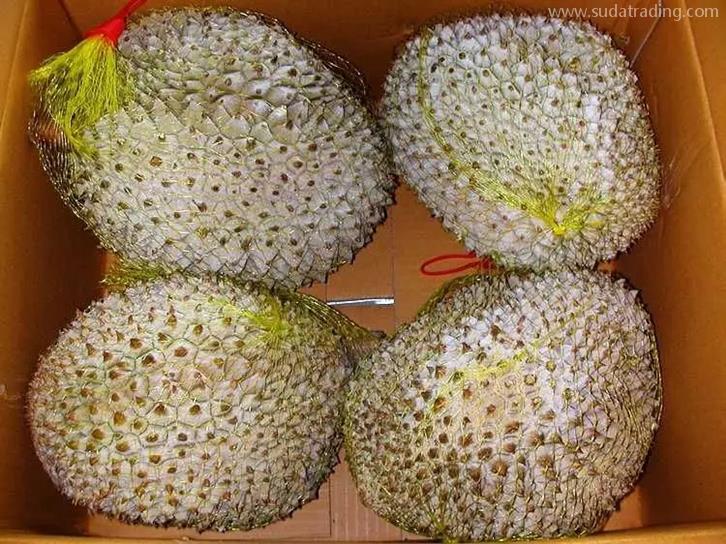 貓山王冷凍榴蓮上海報關(guān)如何操作【榴蓮報關(guān)】 貓山王冷凍榴蓮上海報關(guān)如何操作【榴蓮報關(guān)】