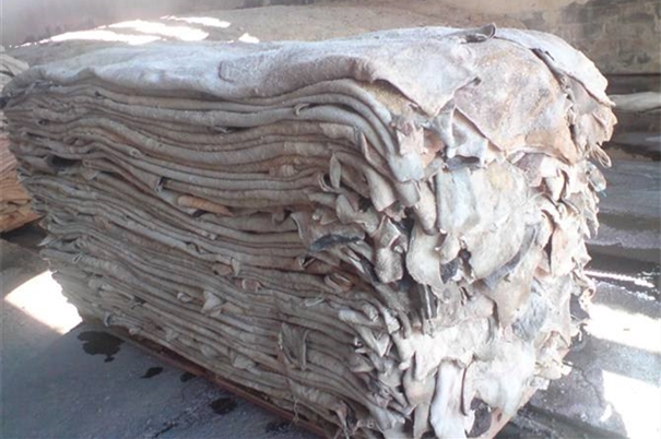 進口牛皮清關所需資料以及流程 進口牛皮清關所需資料以及流程