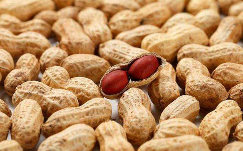 進(jìn)口大宗農(nóng)產(chǎn)品報關(guān)需要了解這些 進(jìn)口大宗農(nóng)產(chǎn)品報關(guān)需要了解這些