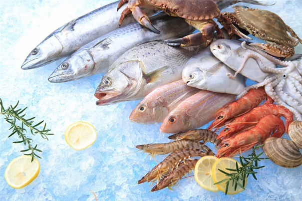 廣州海鮮進口報關進口商所需資質以及流程 廣州海鮮進口報關進口商所需資質以及流程