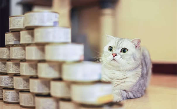 寵物食品罐頭進口報關一站式代理服務流程 寵物食品罐頭進口報關一站式代理服務流程