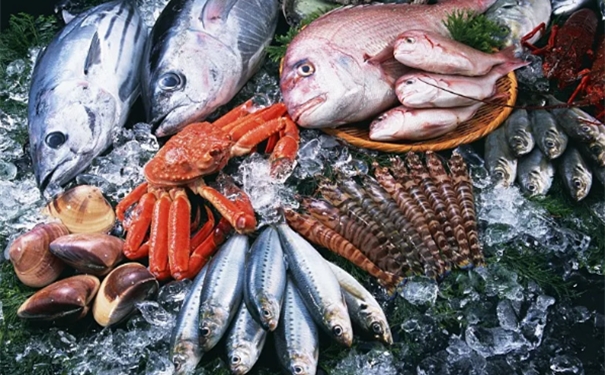 進口水產品報關監管條件以及申報要素 進口水產品報關監管條件以及申報要素