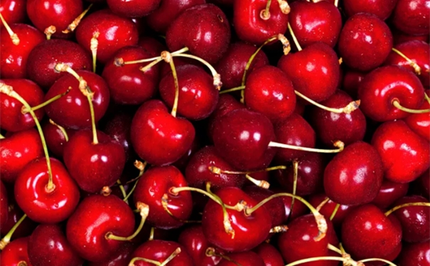 加拿大櫻桃進(jìn)口報關(guān)的流程 加拿大櫻桃進(jìn)口報關(guān)的流程