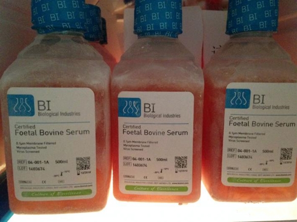 生物制品進口清關代理需要多長時間 生物制品進口清關代理需要多長時間