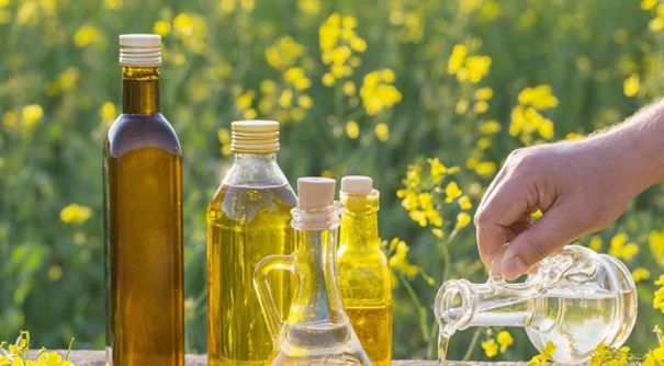 上海菜籽油進口報關代理公司 上海菜籽油進口報關代理公司