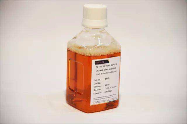 胎牛血清進口清關代理一站式服務公司