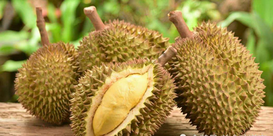 如何從馬來西亞進口冷凍榴蓮報關(guān)到國內(nèi)？