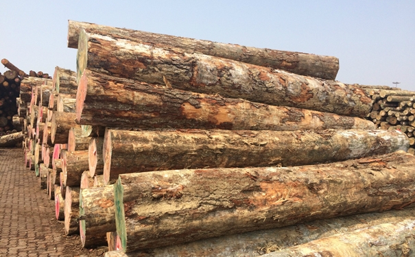 原木進口清關上海代理公司-國內外需提供的清關資料 原木進口清關上海代理公司-國內外需提供的清關資料