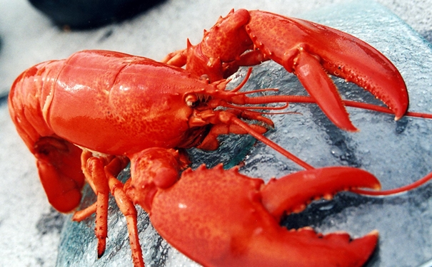 進口冷凍龍蝦清關是如何操作的,操作流程看這里 進口冷凍龍蝦清關是如何操作的,操作流程看這里