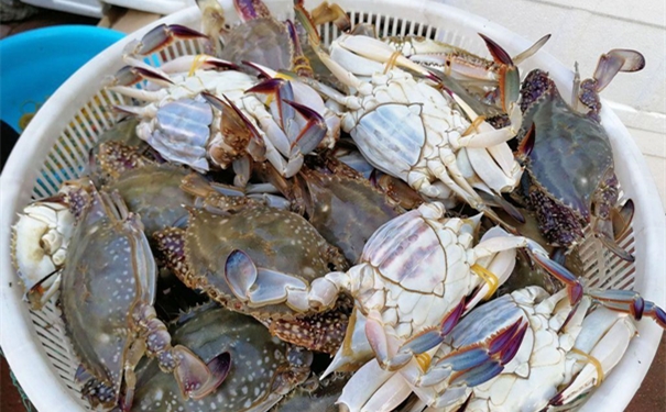 冷凍梭子蟹進口報關的流程手續復雜嗎? 冷凍梭子蟹進口報關的流程手續復雜嗎?