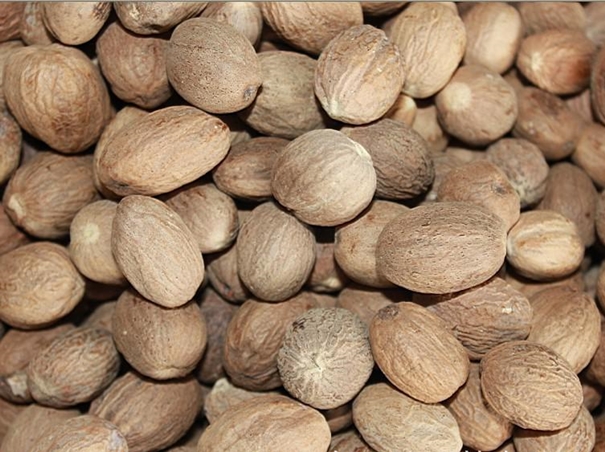 寧波港進口肉豆蔻通關一站式進口代理 寧波港進口肉豆蔻通關一站式進口代理