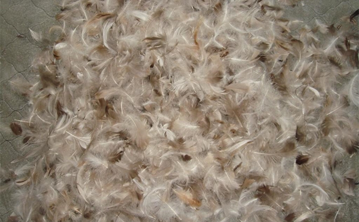 鴨毛進口清關一般貿易進口流程 鴨毛進口清關一般貿易進口流程