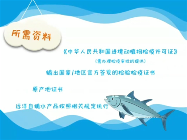 海關總署：解讀│進口食品報關指南