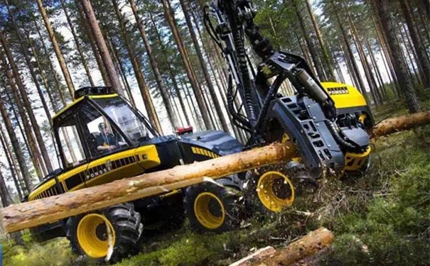 【進(jìn)口伐木機(jī)清關(guān)代理】的流程,一般貿(mào)易進(jìn)口伐木機(jī) 【進(jìn)口伐木機(jī)清關(guān)代理】的流程,一般貿(mào)易進(jìn)口伐木機(jī)