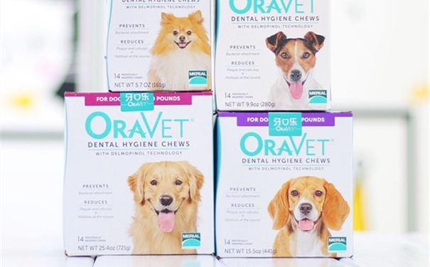 【寵物口腔噴霧劑進口清關(guān)】的流程,口腔噴霧進口這樣做 【寵物口腔噴霧劑進口清關(guān)】的流程,口腔噴霧進口這樣做