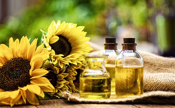 上海寵物零食進口清關(guān)代理公司