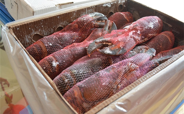 一站式波士頓龍蝦進口清關代理公司 一站式波士頓龍蝦進口清關代理公司