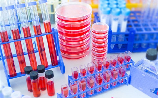 進口細胞清關需要哪些資料,了解一下! 進口細胞清關需要哪些資料,了解一下!