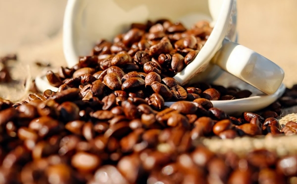 加拿大咖啡豆進口報關的流程以及資料是怎樣的 加拿大咖啡豆進口報關的流程以及資料是怎樣的