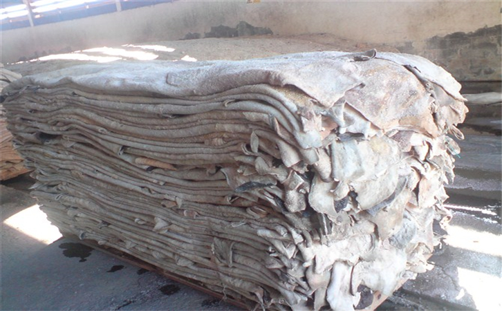 鹽濕牛羊皮進口報關流程|進口生牛皮注意事項 鹽濕牛羊皮進口報關流程|進口生牛皮注意事項