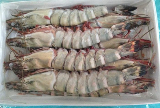 廣東速達多年經(jīng)驗告訴您寧波進口南美對蝦進口報關清關注意事項-海鮮報關 廣東速達多年經(jīng)驗告訴您寧波進口南美對蝦進口報關清關注意事項-海鮮報關