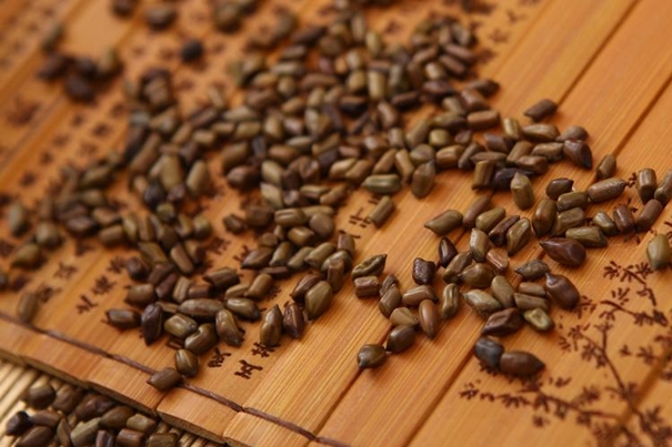 印度決明子進口清關國內手續以及資料 印度決明子進口清關國內手續以及資料