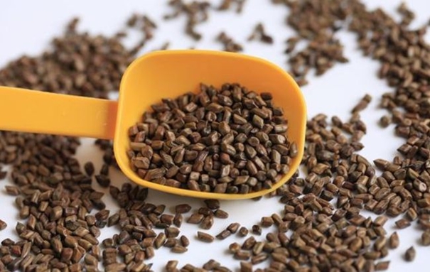 印度決明子進口清關國內手續以及資料 印度決明子進口清關國內手續以及資料