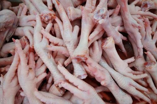 進口冷凍雞爪報關關稅|報關有哪些要求? 進口冷凍雞爪報關關稅|報關有哪些要求?