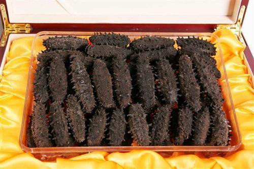 干海參進口清關專業代理流程以及清關路線推薦