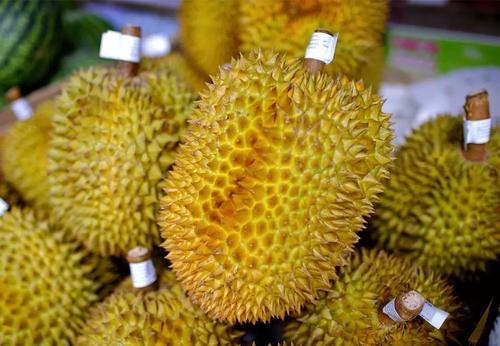 泰國榴蓮進口報關清關代理公司有哪些?榴蓮進口報關注意事項 泰國榴蓮進口報關清關代理公司有哪些?榴蓮進口報關注意事項
