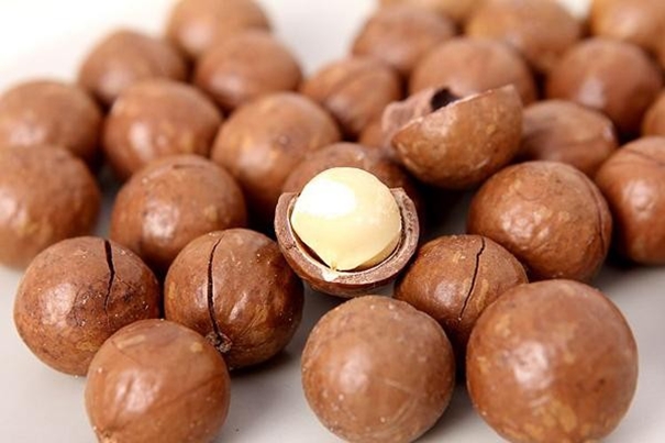 上海堅果進口報關代理一般貿易進口