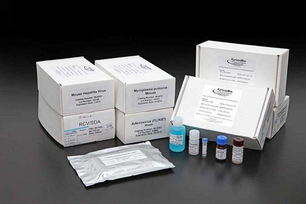 美國進口生物試劑報關常見問題，你要了解的