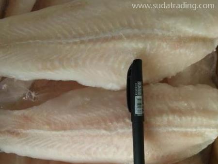 廣東速達供應鏈代理冷凍巴沙魚深圳機場報關資料