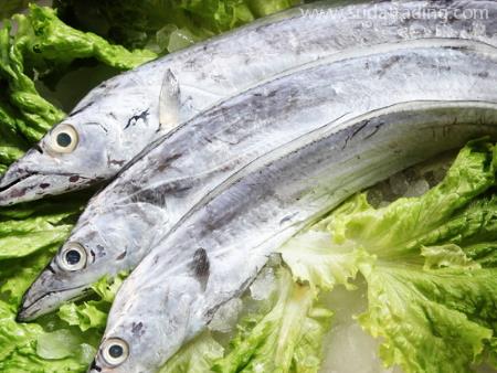 東莞進口食品報關之帶魚清關資質