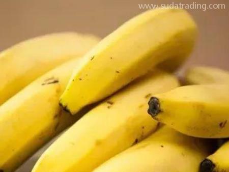 菲律賓香蕉廣州老港進口報關(guān)前要了解這幾件事！