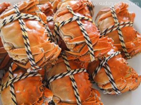 螃蟹進口機場海關(guān)報關(guān)需要什么資料？