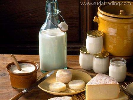 乳制品機(jī)場進(jìn)口清關(guān)公司代理操作流程