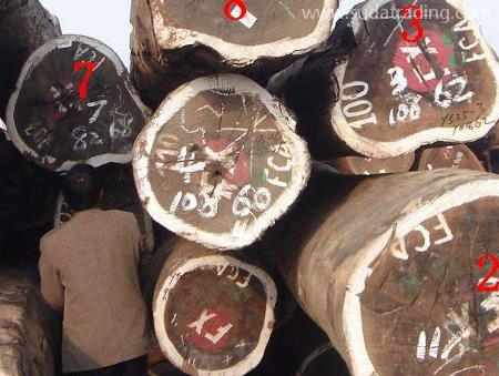 木材進(jìn)口清關(guān)注意事項(xiàng)有這幾點(diǎn)，要留心！