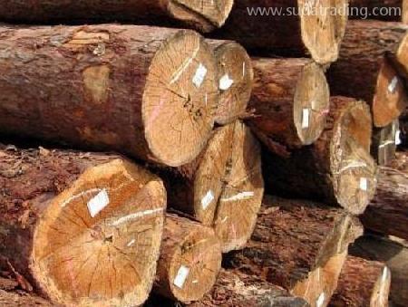 詳細版木材進口清關流程講解！建議收藏！