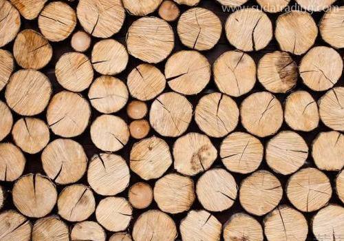 一般木材進口清關流程是怎樣的？