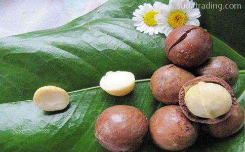 一站式代理澳洲堅果進口清關服務[資料版]