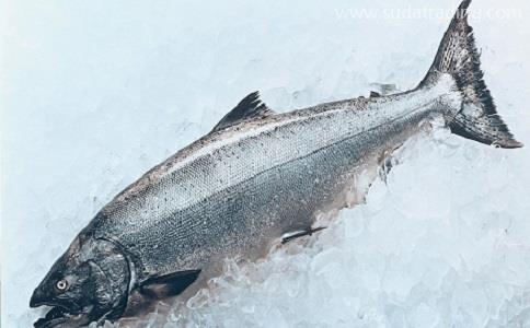 越南水產品進口清關要注意了!