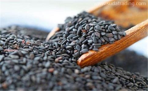 太全了!芝麻進口清關流程