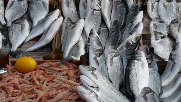 水產(chǎn)品進(jìn)口報(bào)關(guān)需要辦理哪些手續(xù)？