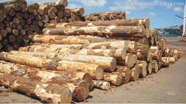 東莞木材進口報關手續流程